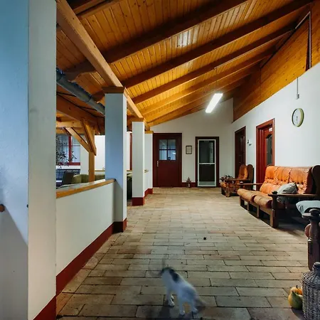 Konukevi Rigo Vendeghaz Es Rendezvenyterem